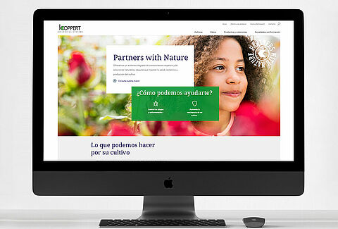 Nuevo sitio web para Koppert Ecuador