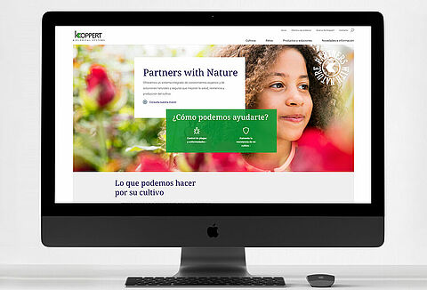 Nuevo sitio web para Koppert Ecuador