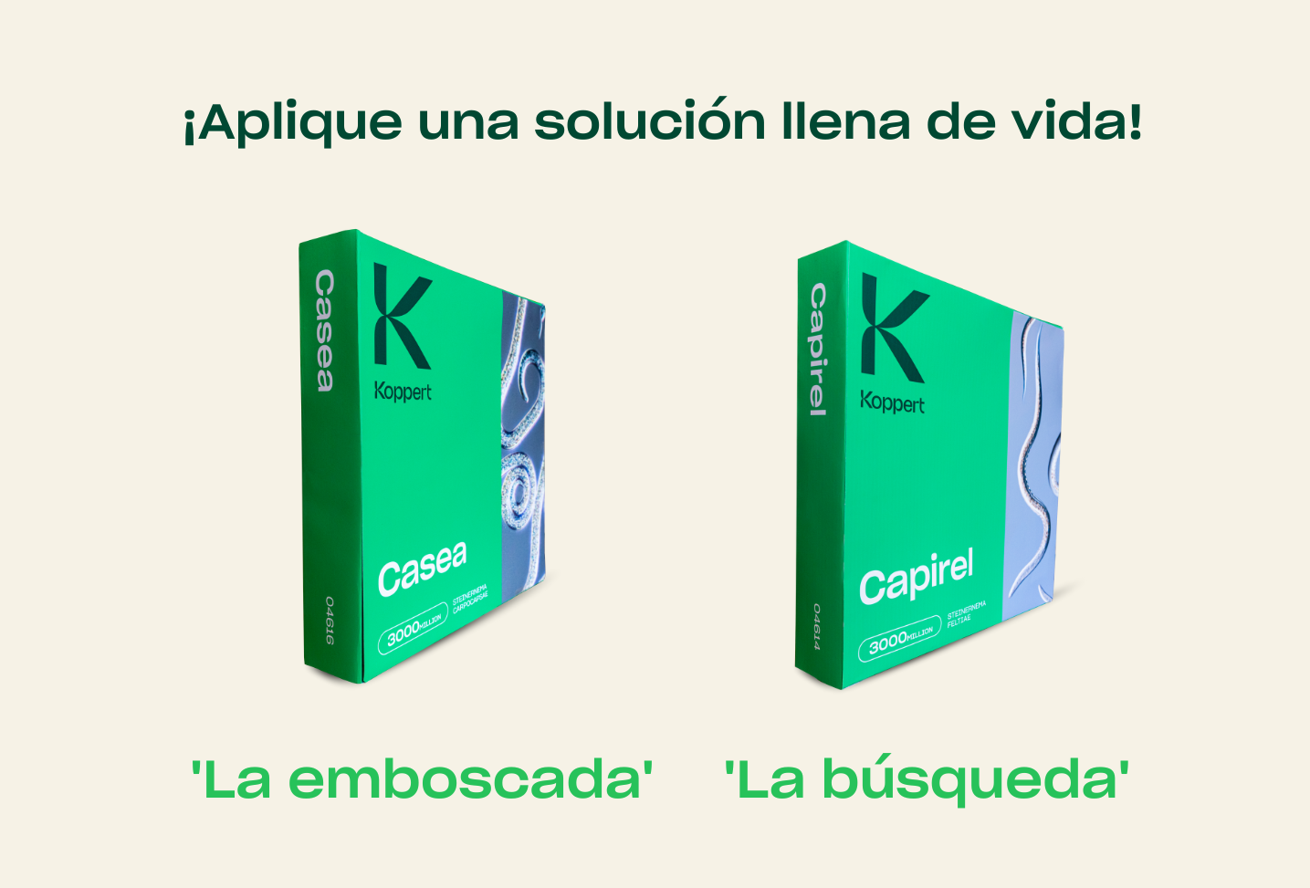 Nematodos beneficiosos: así cazan a su presa