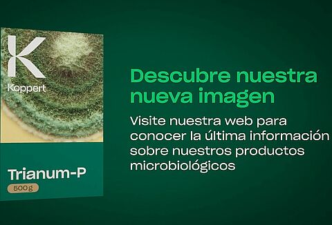 Un gran impacto comienza en lo pequeño: microorganismos benéficos de Koppert