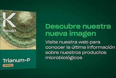 Un gran impacto comienza en lo pequeño: microorganismos benéficos de Koppert