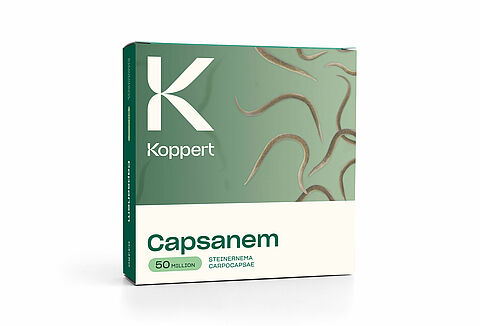 Capsanem