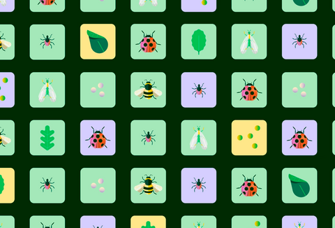 Día Mundial de la Biodiversidad