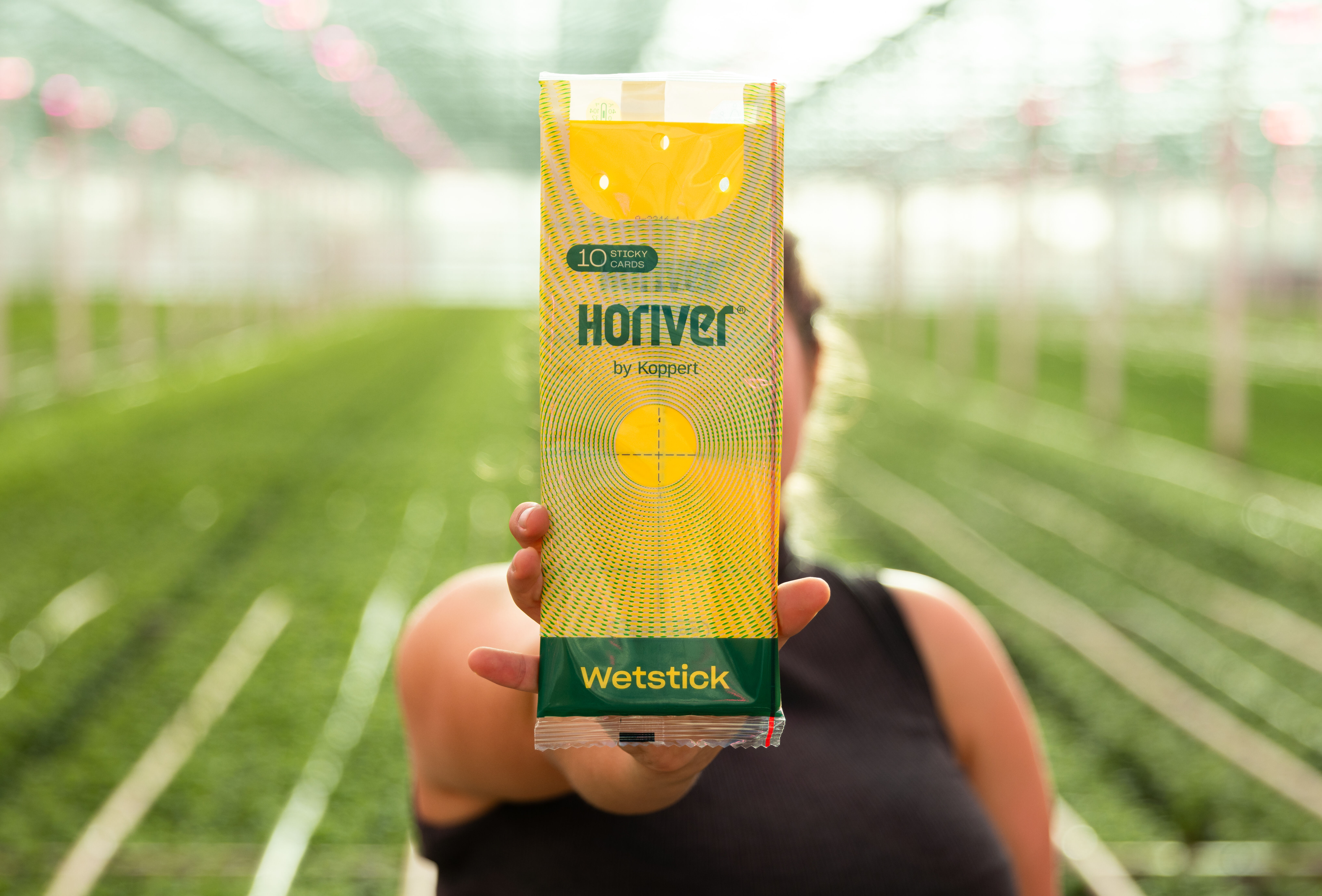 Nueva imagen para las trampas adhesivas Horiver.