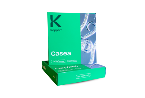 ¡Conoce Casea!