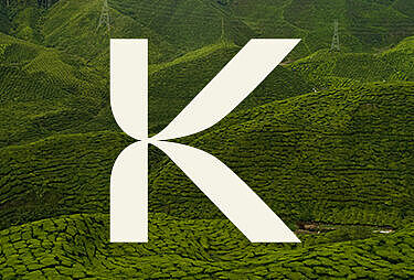 Nuestra nueva imagen: inspirada en la naturaleza