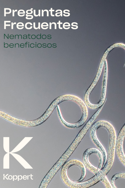 Preguntas frecuentes sobre nematodos beneficiosos