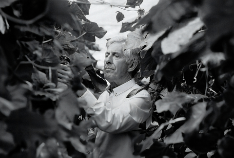 En memoria de Peter Koppert