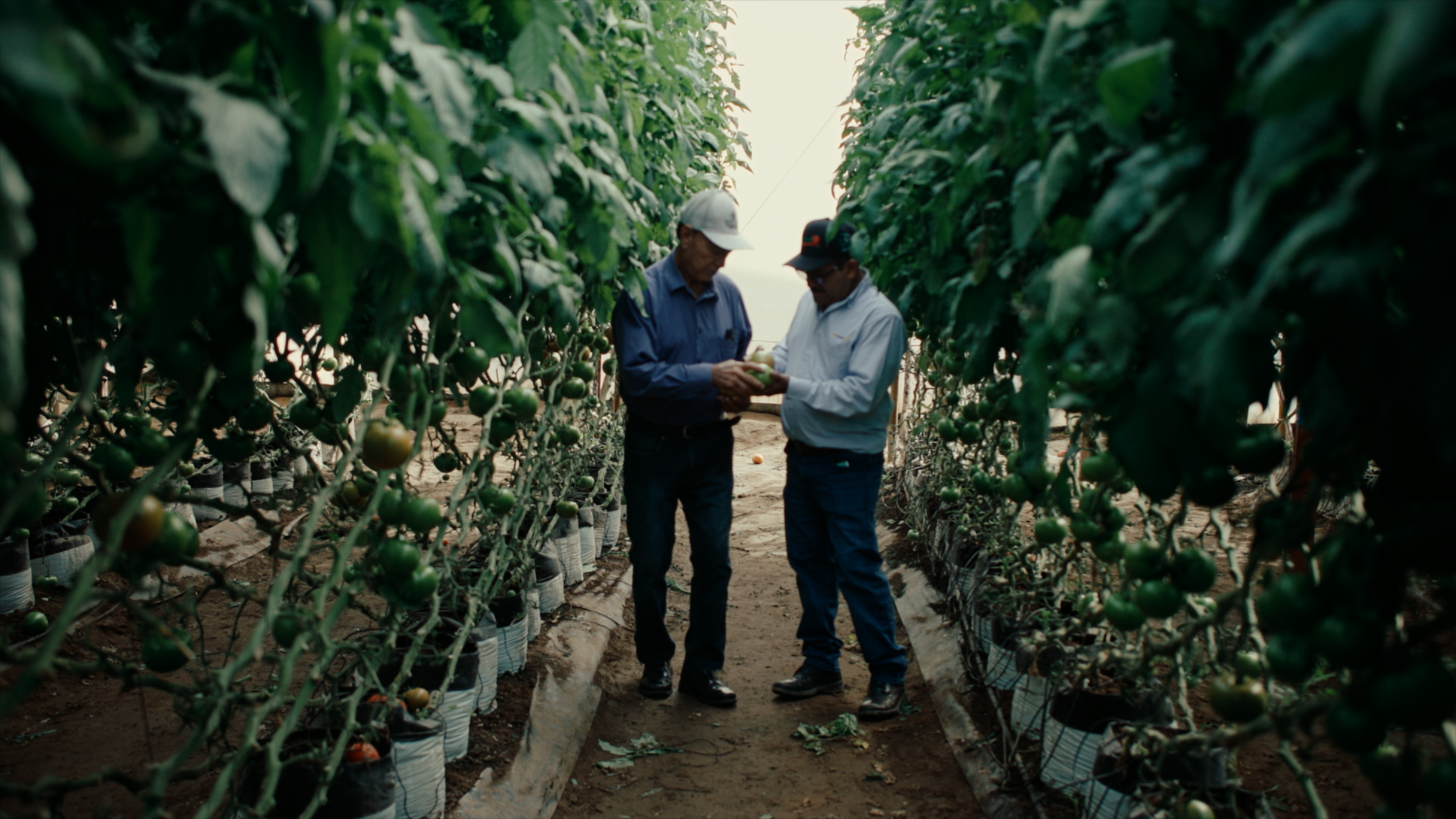 Rancho Los Pinos is nature's ally