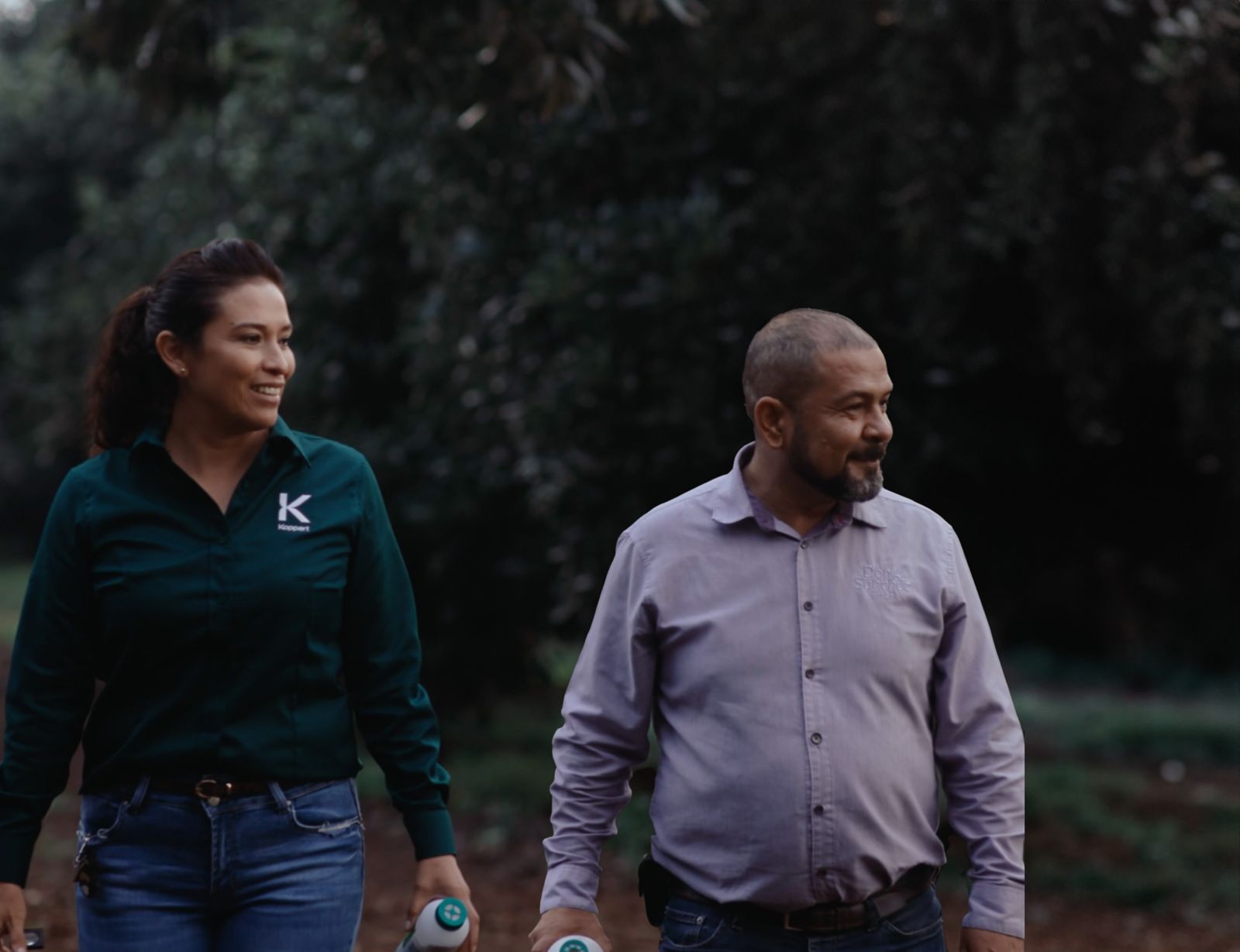 Don Sanchez Fresh innovates with biological control in avocados